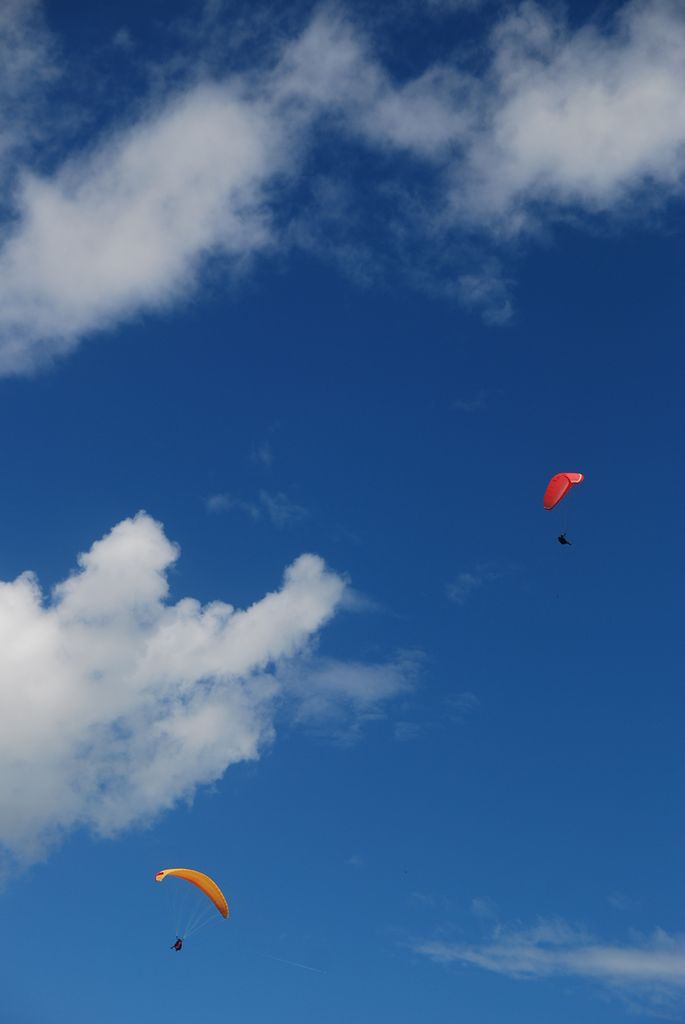 some people para sailing in the blue sky