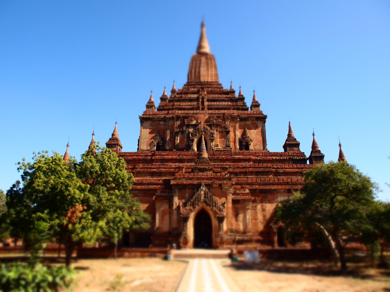 a tall tower sits behind small trees