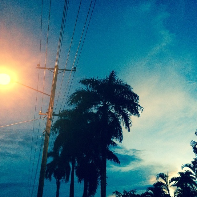 the power lines run overhead on a dark blue day