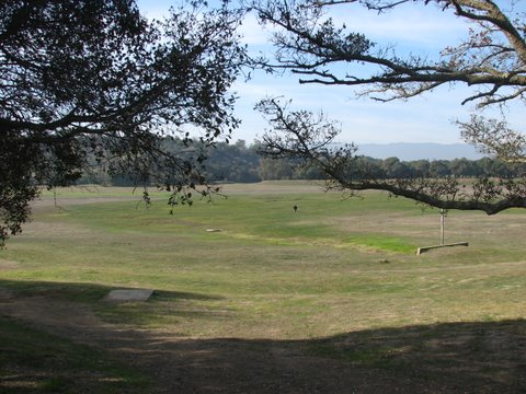 trees in the foreground with a man playing golf in the distance