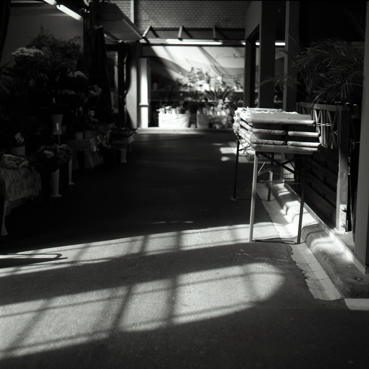 the interior of a store showing plants, chairs and boxes