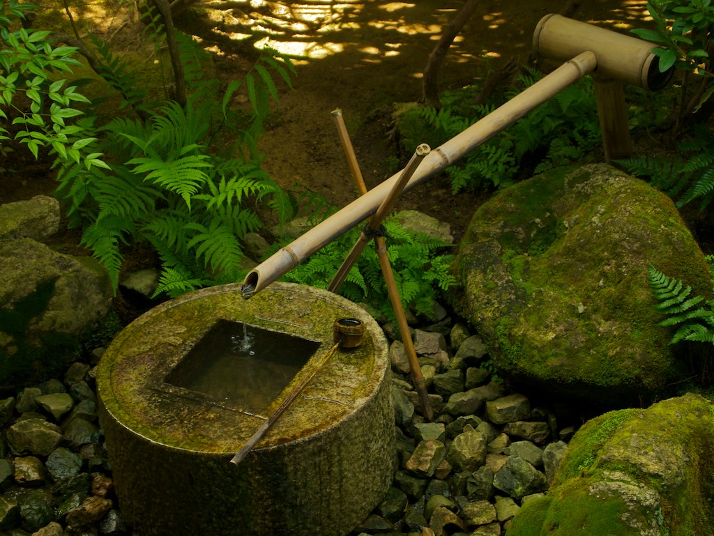 a small water spigot in a very lush green garden