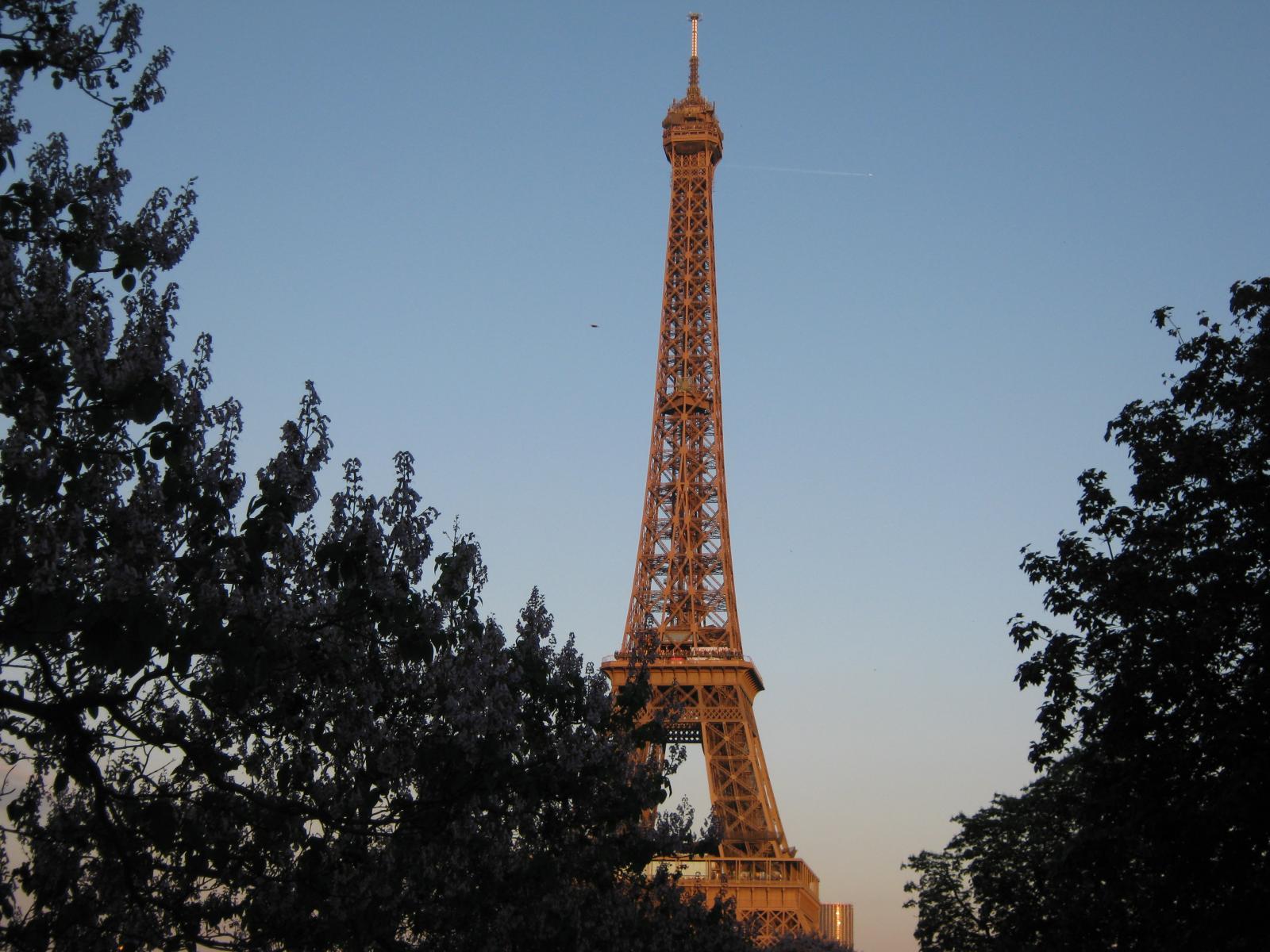 a tall tower towering over a lush green forest