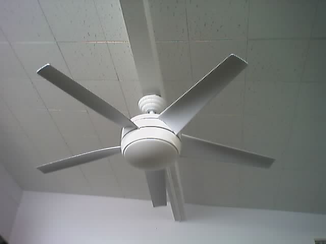 the ceiling fan is white and there is no light