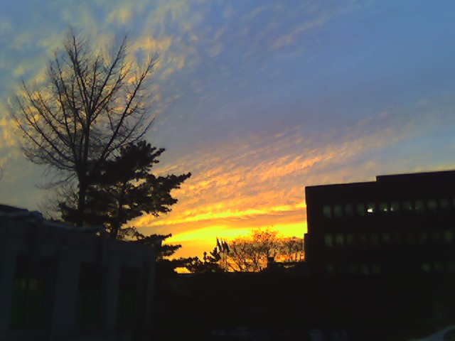 the setting sun over a building in an urban setting