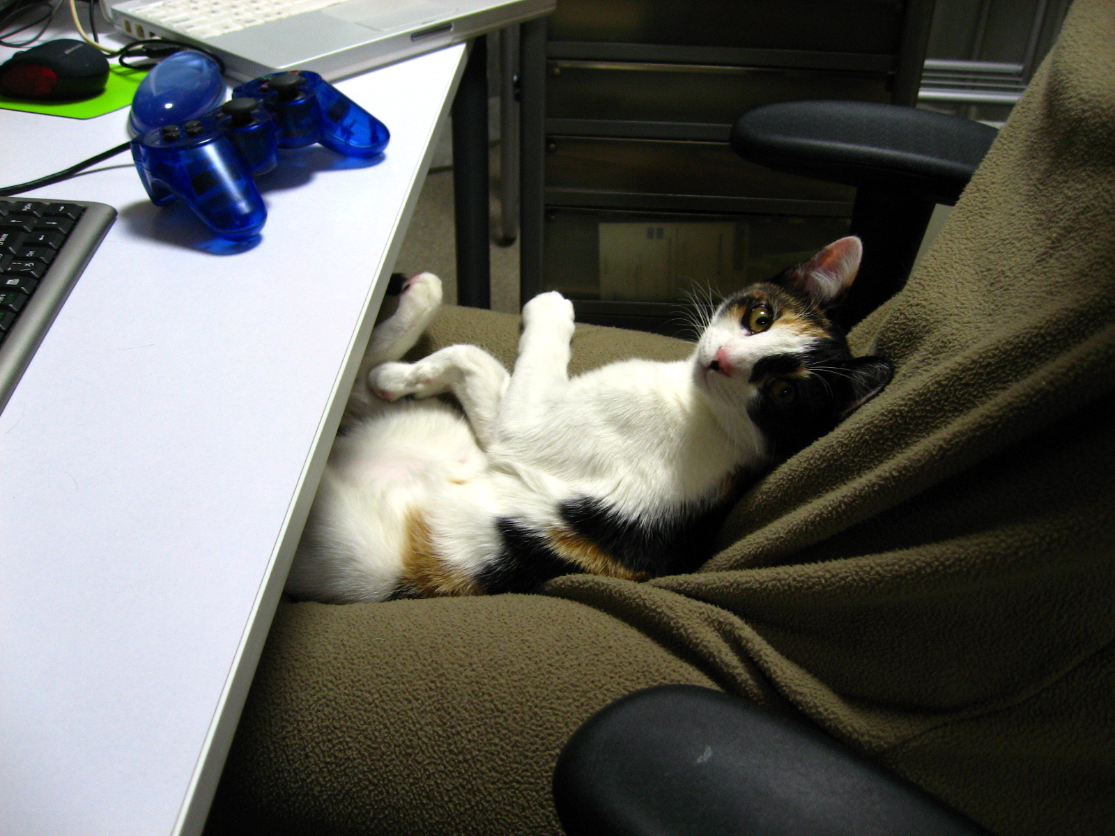 a cat is sleeping in the arm of a chair near a computer desk