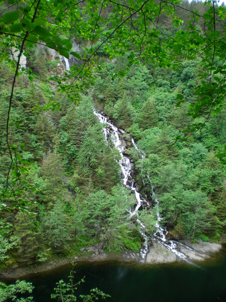 a mountain stream with waterfalls in the forest