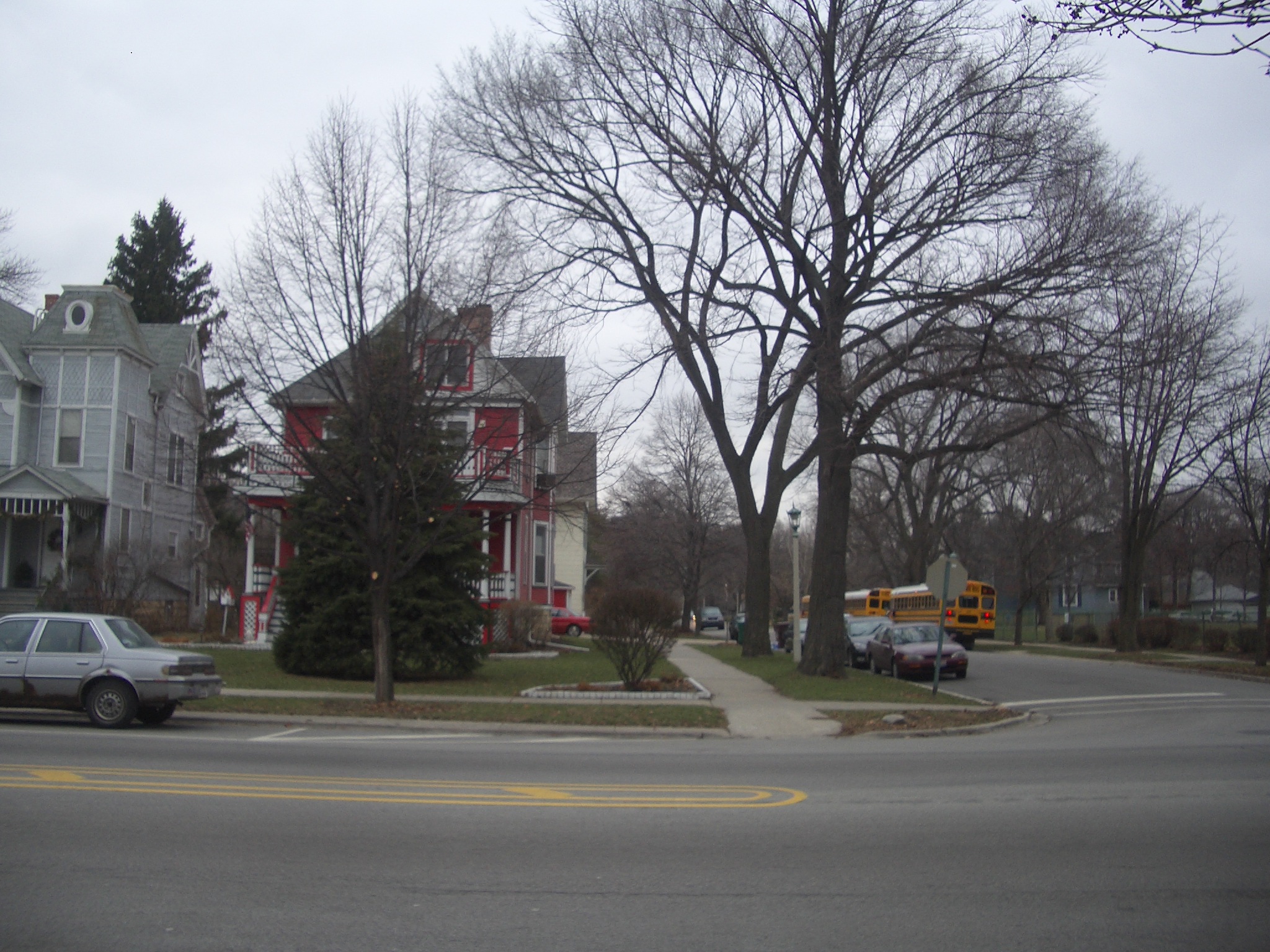 a street with parked cars and two school buses next to trees
