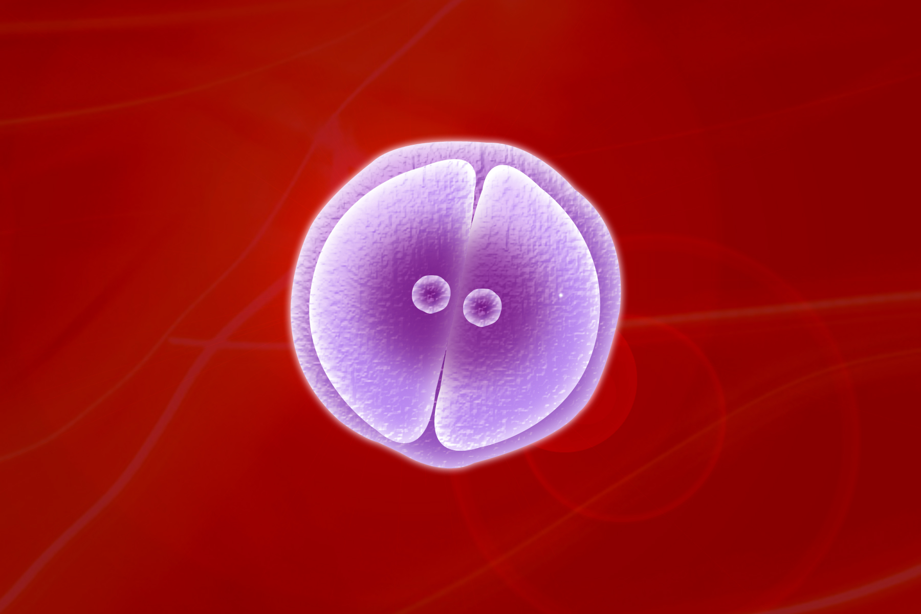 an egg on a pink background with several circles