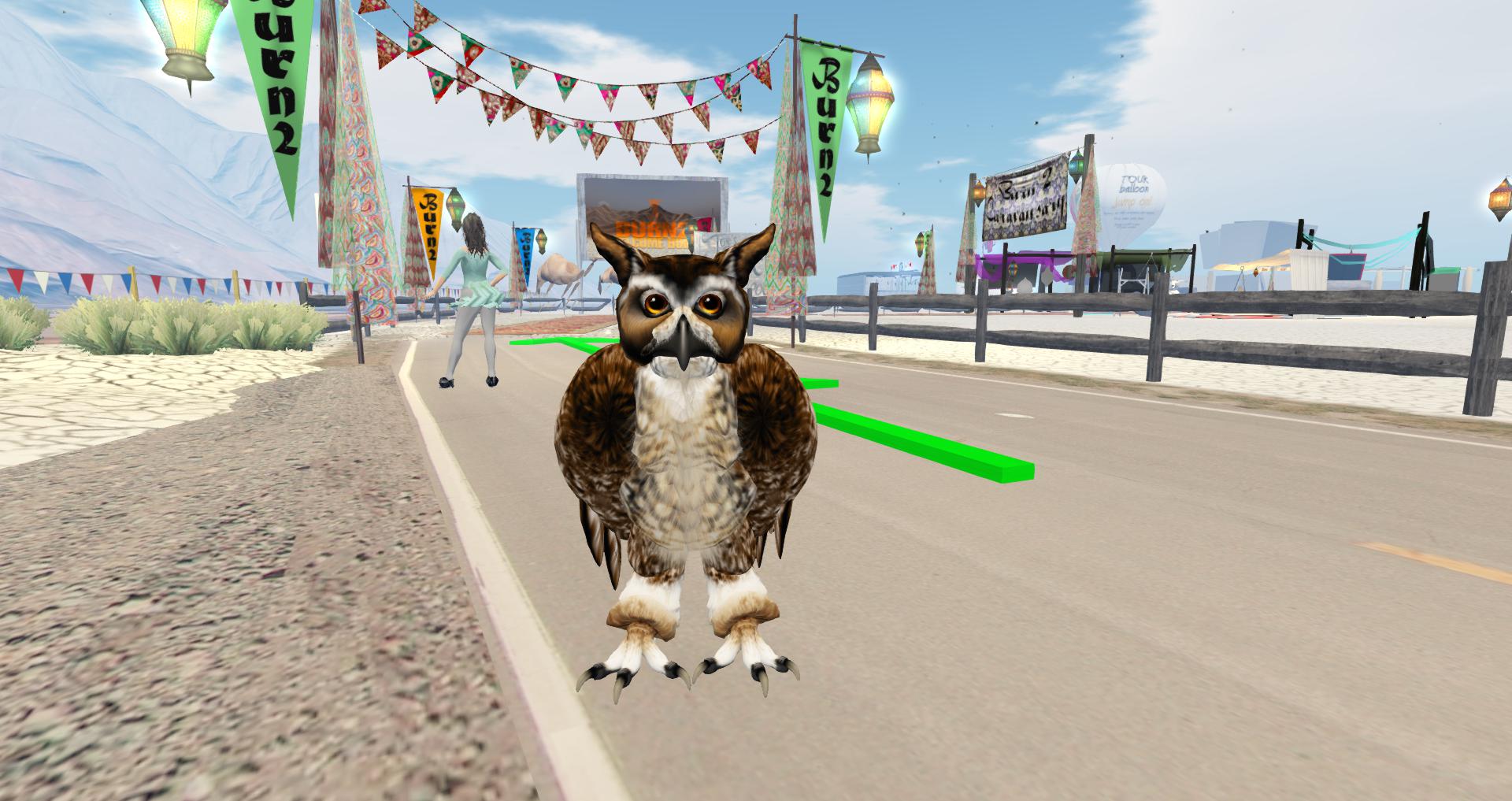 an owl in a virtual environment is staring