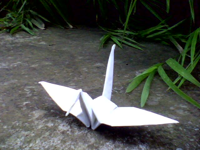 an origami swan is shown on the ground