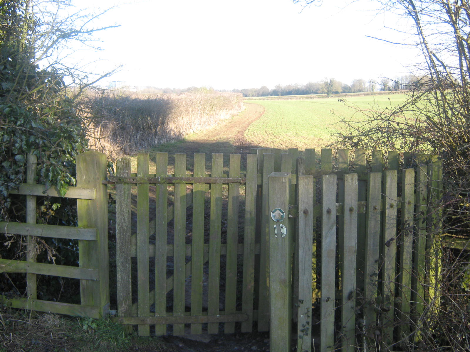 a wood fence and gate in an open field