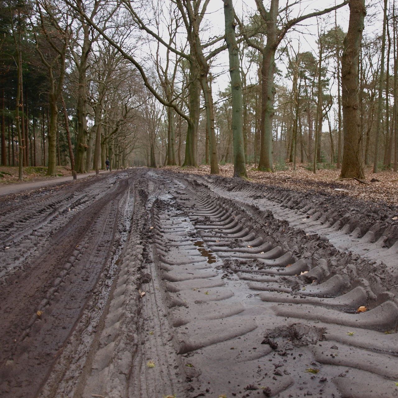 tire tracks running along an old dirt road