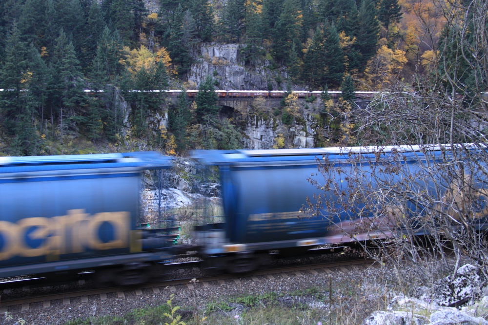 a long blue train passing by a bridge