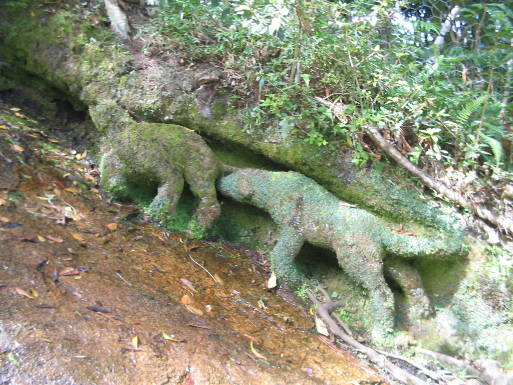 an image of two stuffed animals that are in the dirt