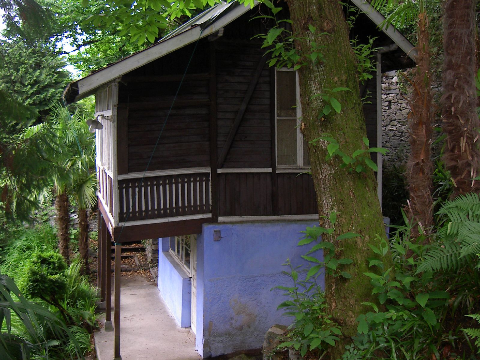 a blue and brown building sits next to trees and foliage