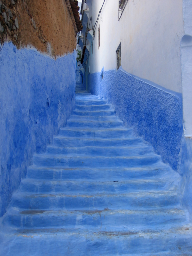 a narrow staircase is painted with bright blue