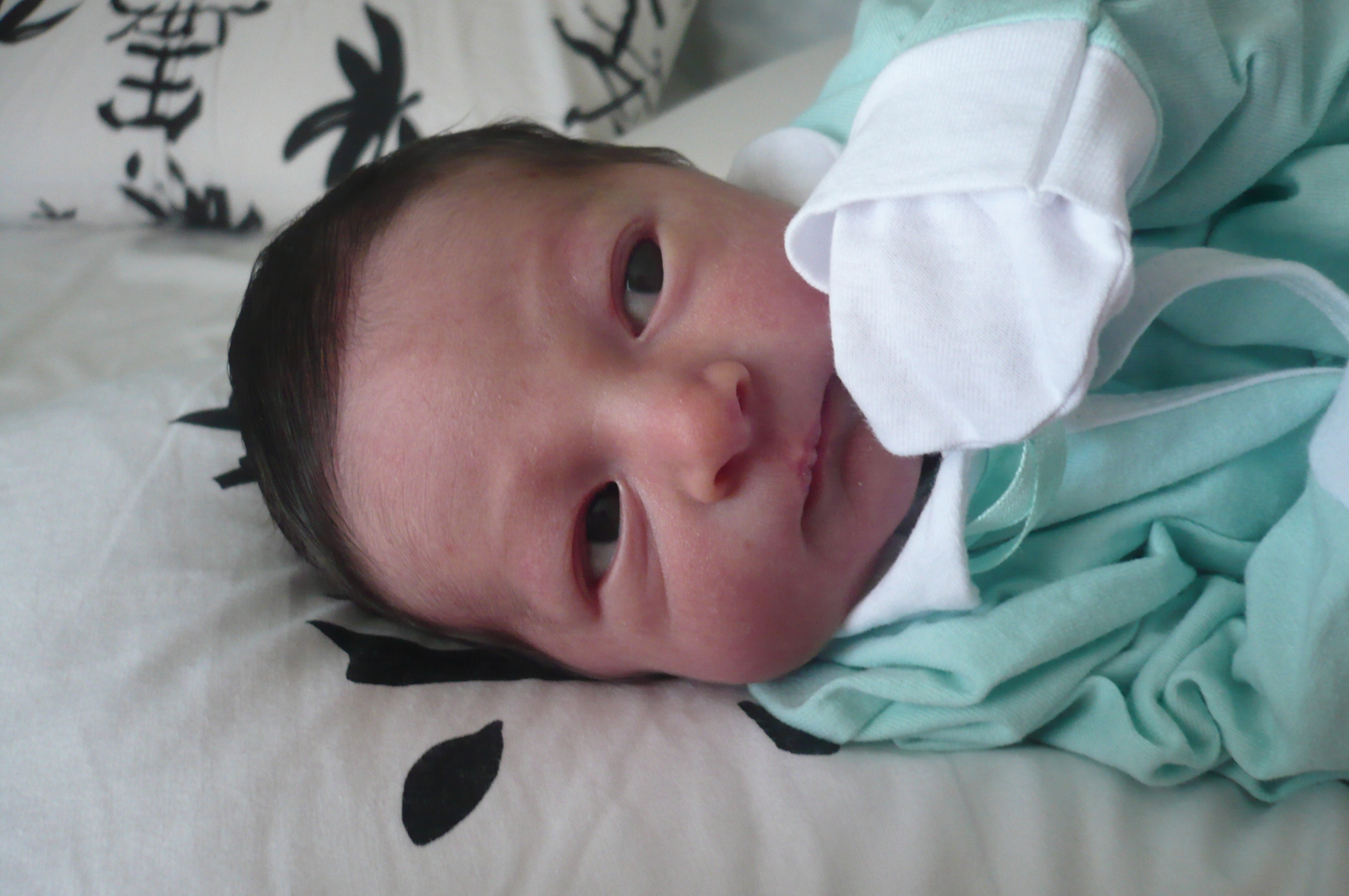 an adorable baby lays down on its side wearing a green and white sweater