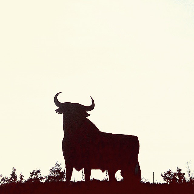 a silhouette of a bull with long horns standing in the wilderness