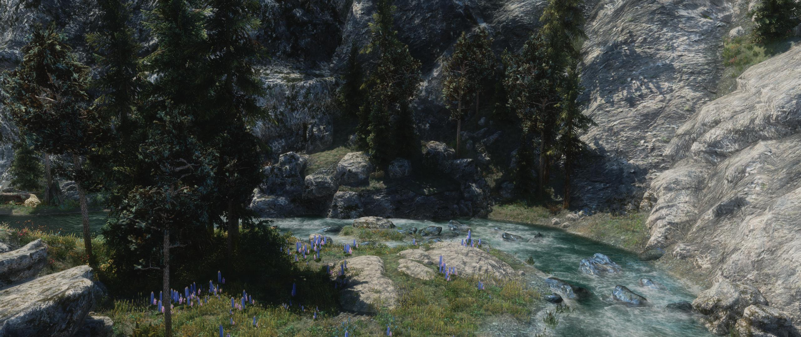 there are several green plants in a rocky valley