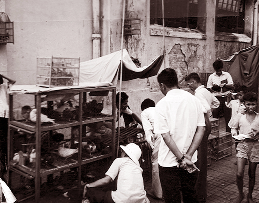 there are many people standing next to a building with animals