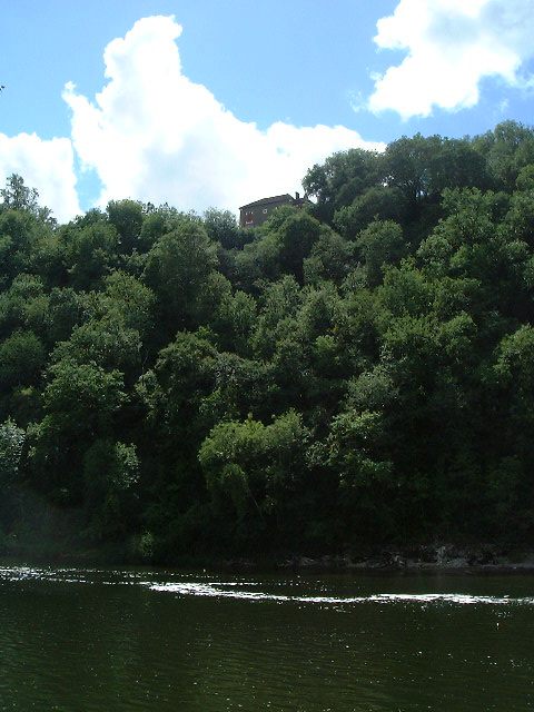 a forest and hill behind some water