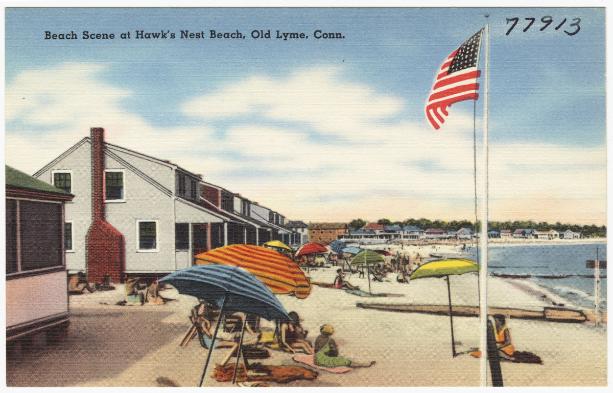 an image of beach scene with a flag flying