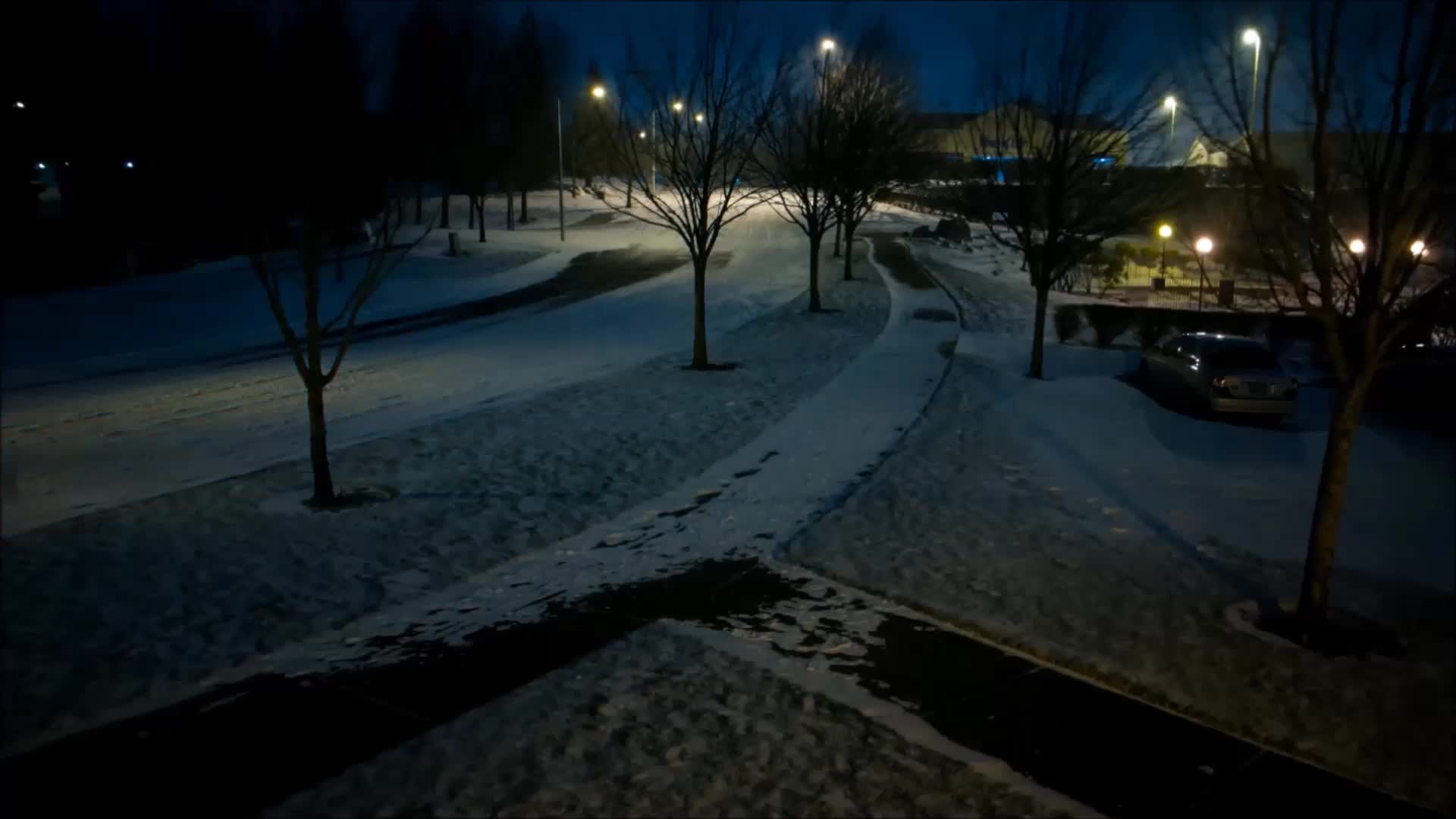 a snow covered pathway and tree at night