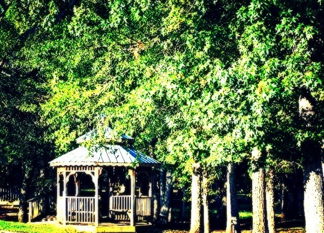 a gazebo surrounded by tall green trees on a sunny day