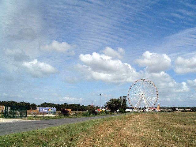 a big ferris wheel is on the top of a field