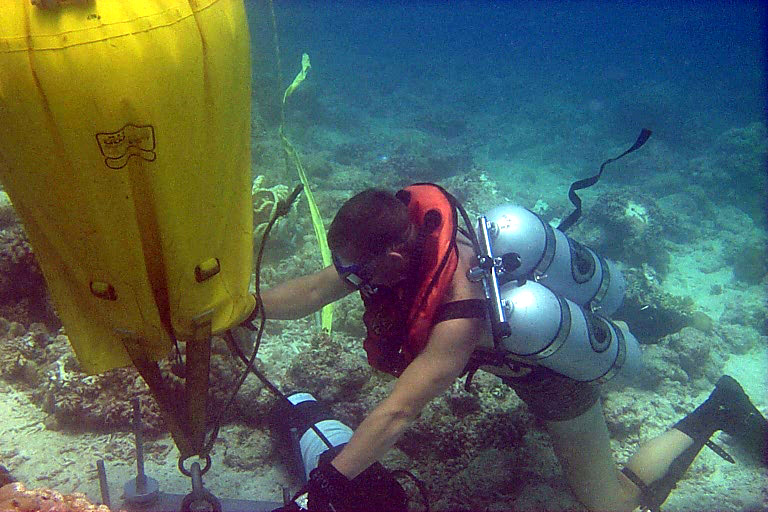 scubas use small devices to help recover corals