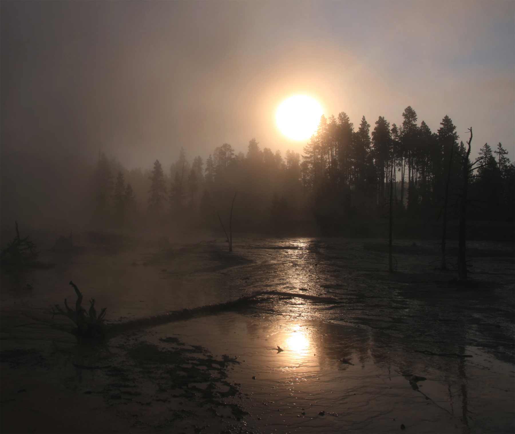 a body of water with some trees in the background