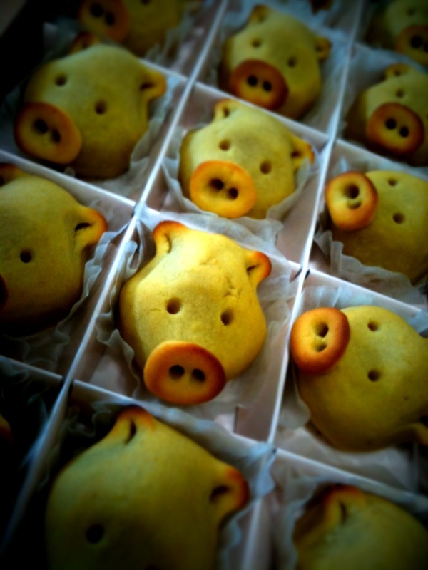 a bunch of strange looking animal heads inside of some containers