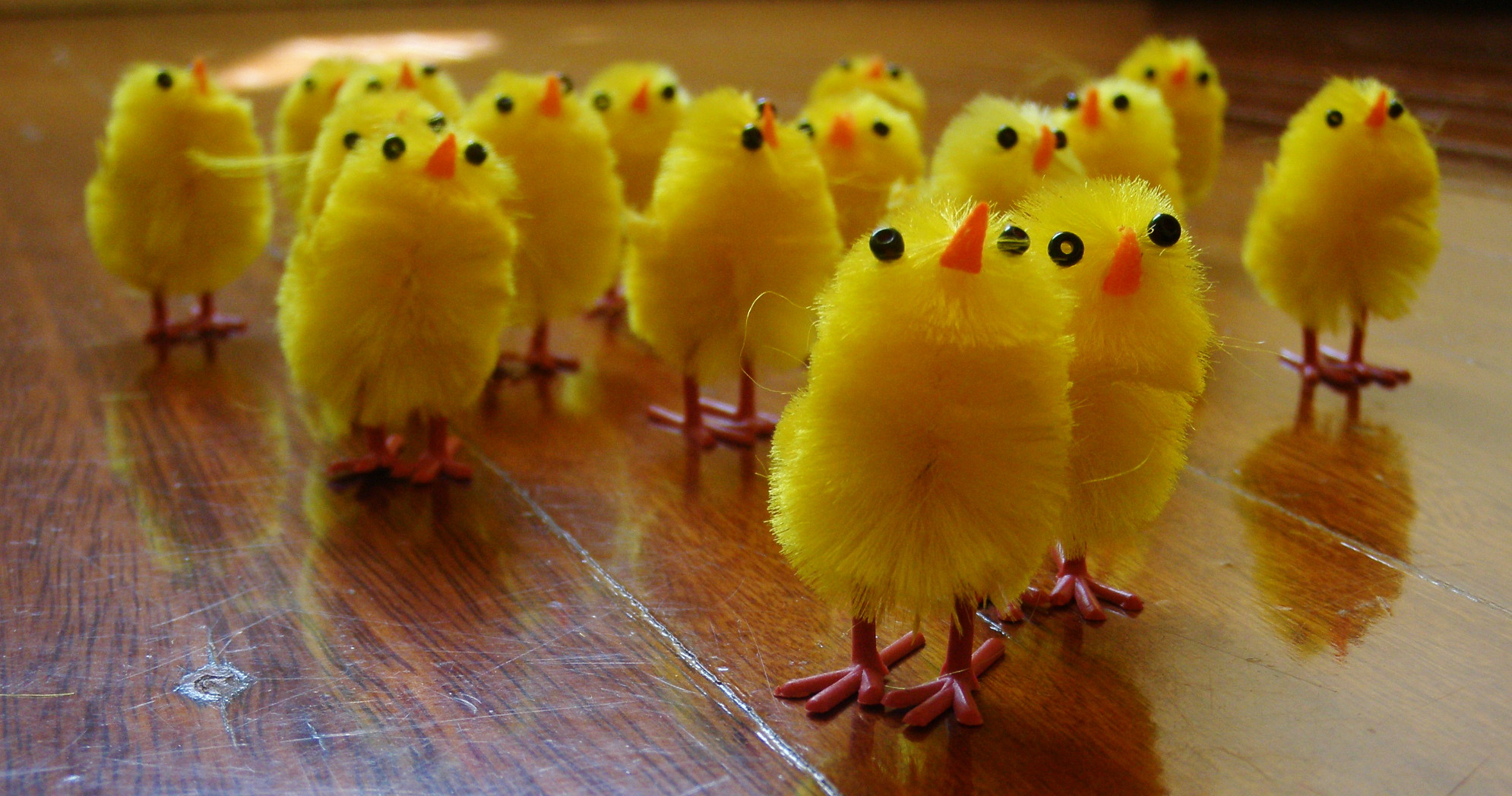 many small yellow chicks sitting on a table