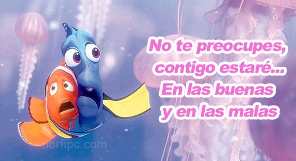a fish with a quote in spanish about finding the sea