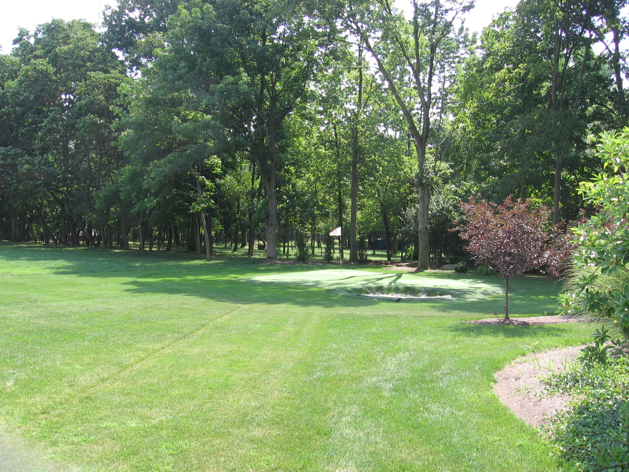 a wide lawn covered in lots of green grass