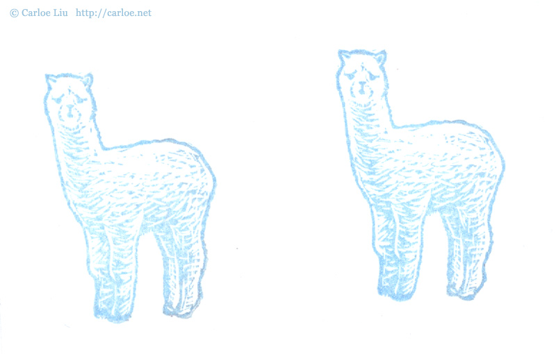 two pencil drawings of llamas standing and looking forward