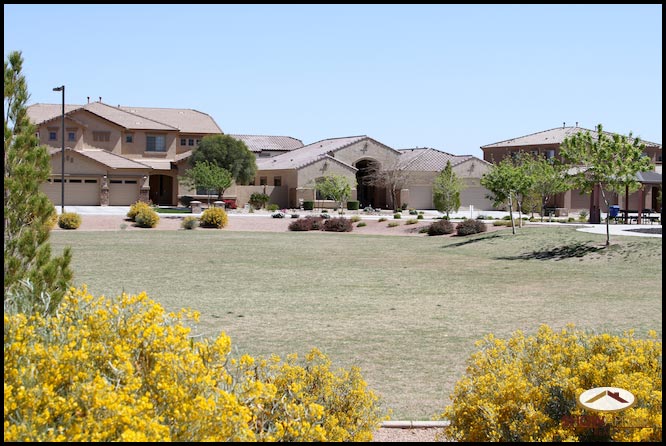 a picture of a house with bushes and flowers in front of it