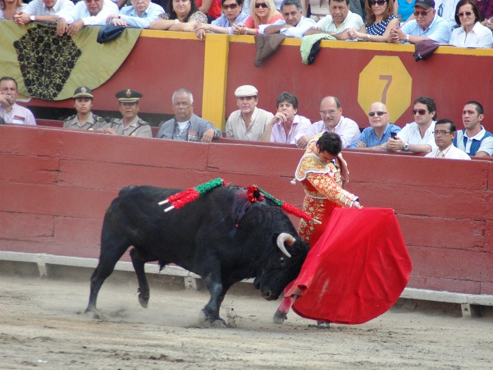 a person in costume is being hed by a bull