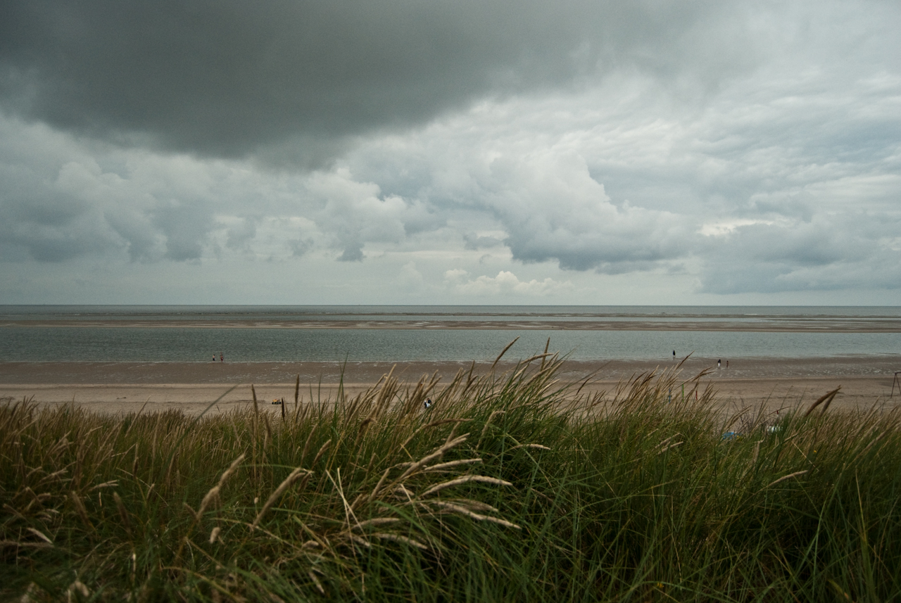 a beach with some tall grass in the foreground and a man walking in the distance