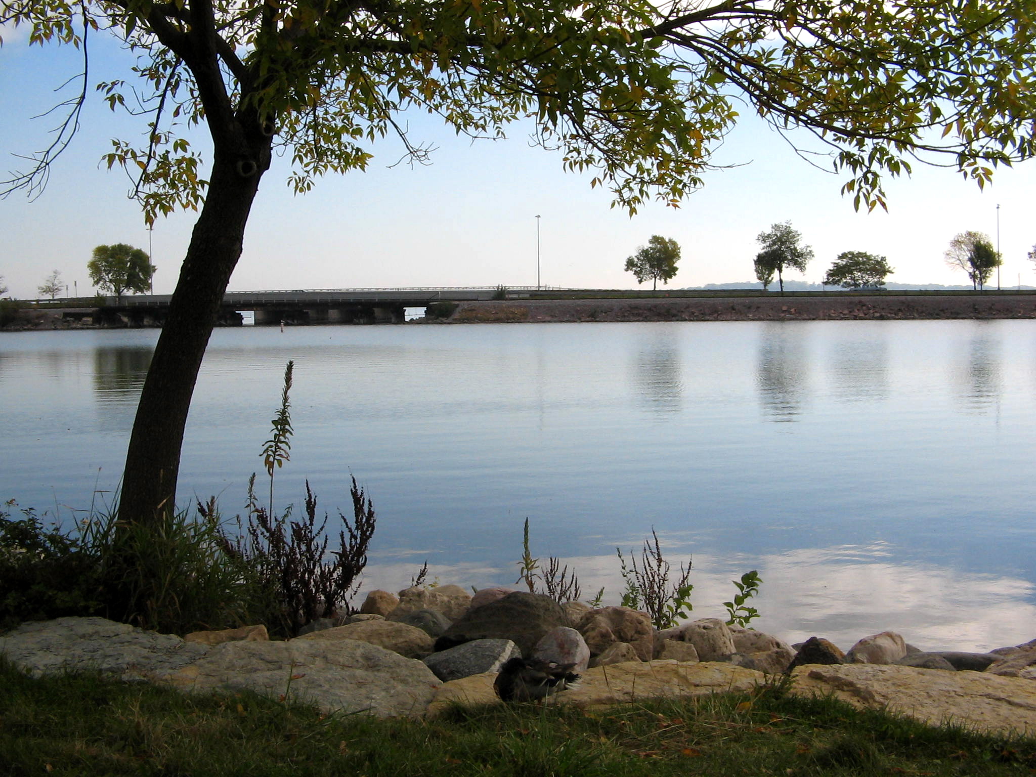 a bench overlooking the river on the banks