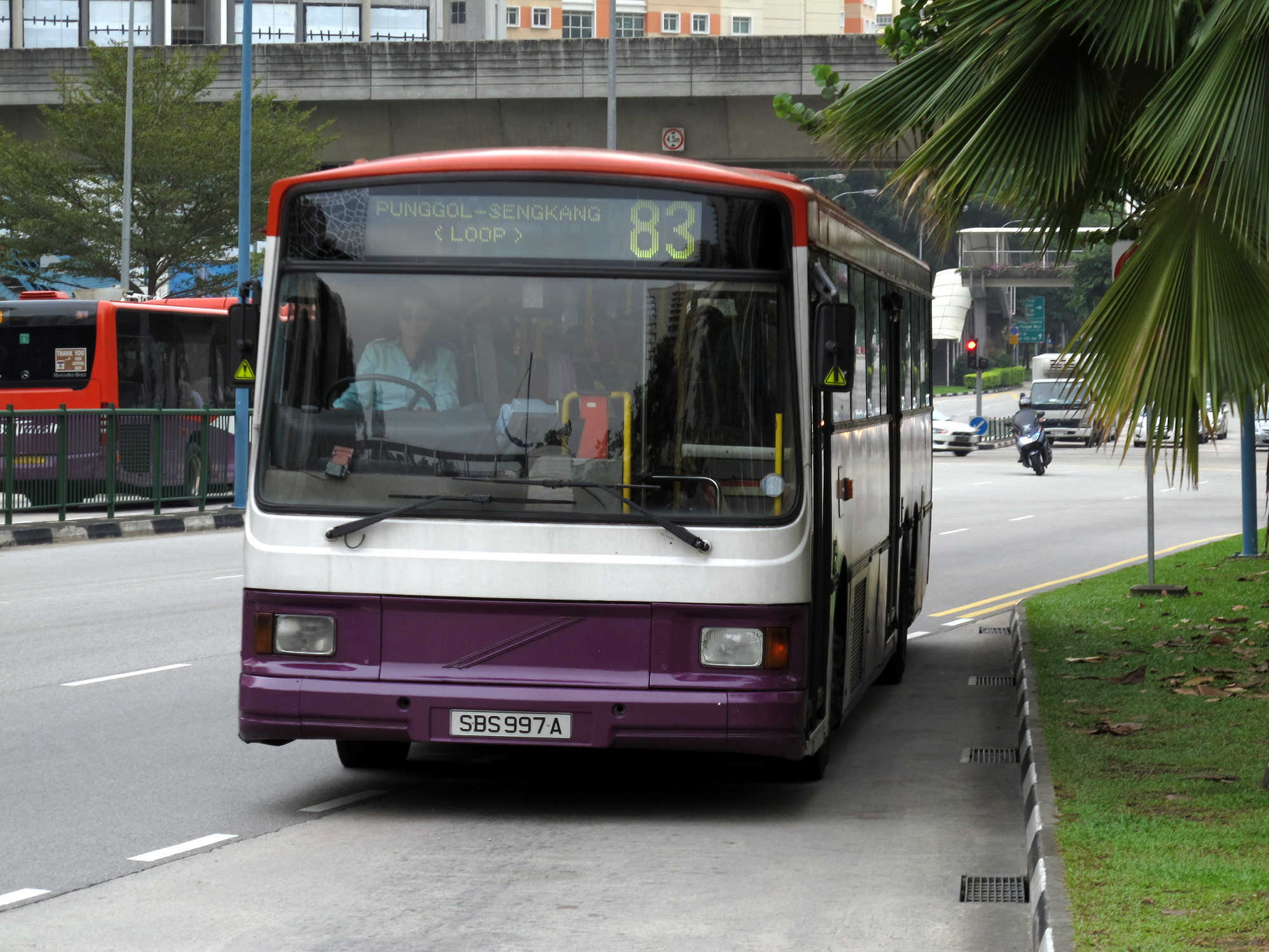 a purple and white bus driving down a street