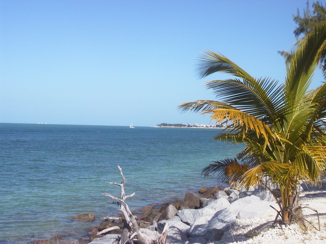 a beautiful view of water and trees that look out towards the ocean