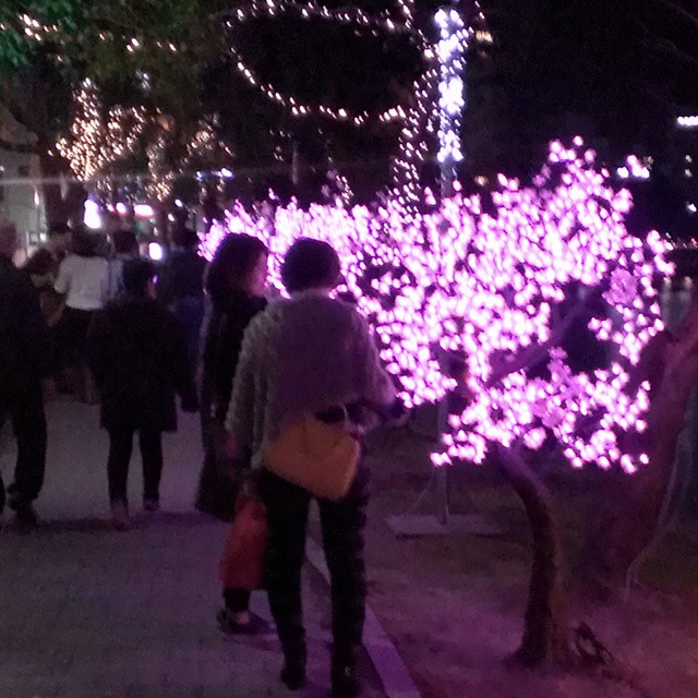 people are standing around outside a lighted christmas tree