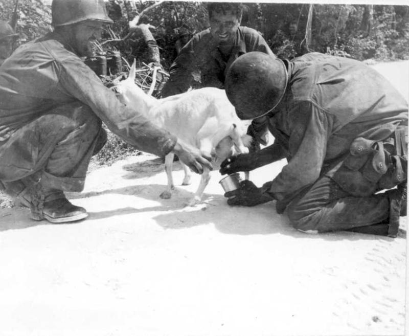 a vintage black and white po of a group of soldiers petting an animal