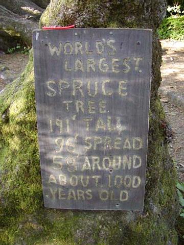 a sign for a tree that is around 30 years old