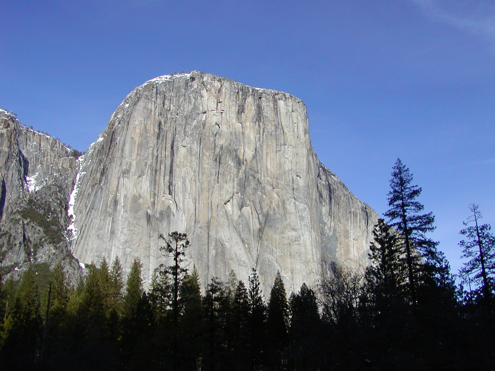 a large stone mountain towering over trees in the forest