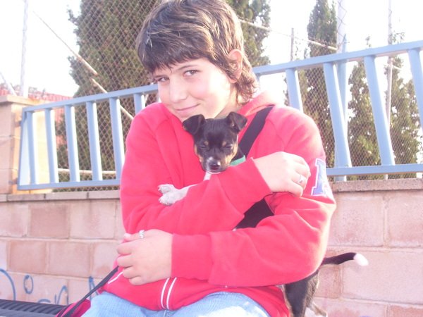 a young person sits on top of a bench with a dog in front of them