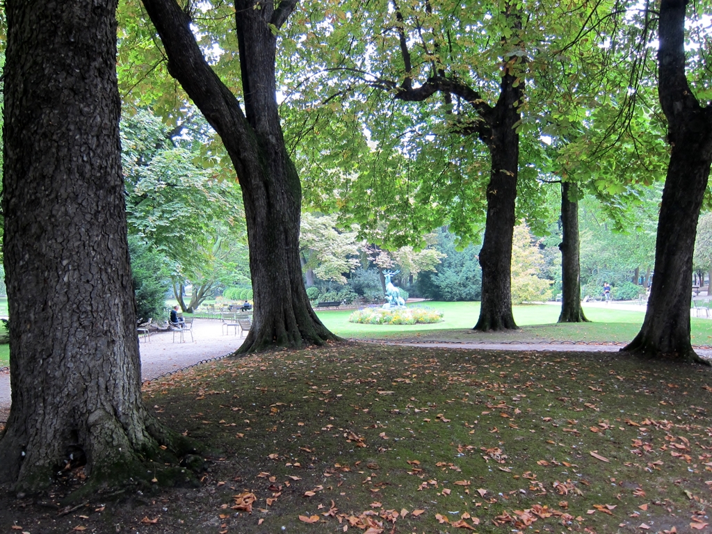 a park with trees and grass, which have fallen leaves on the ground