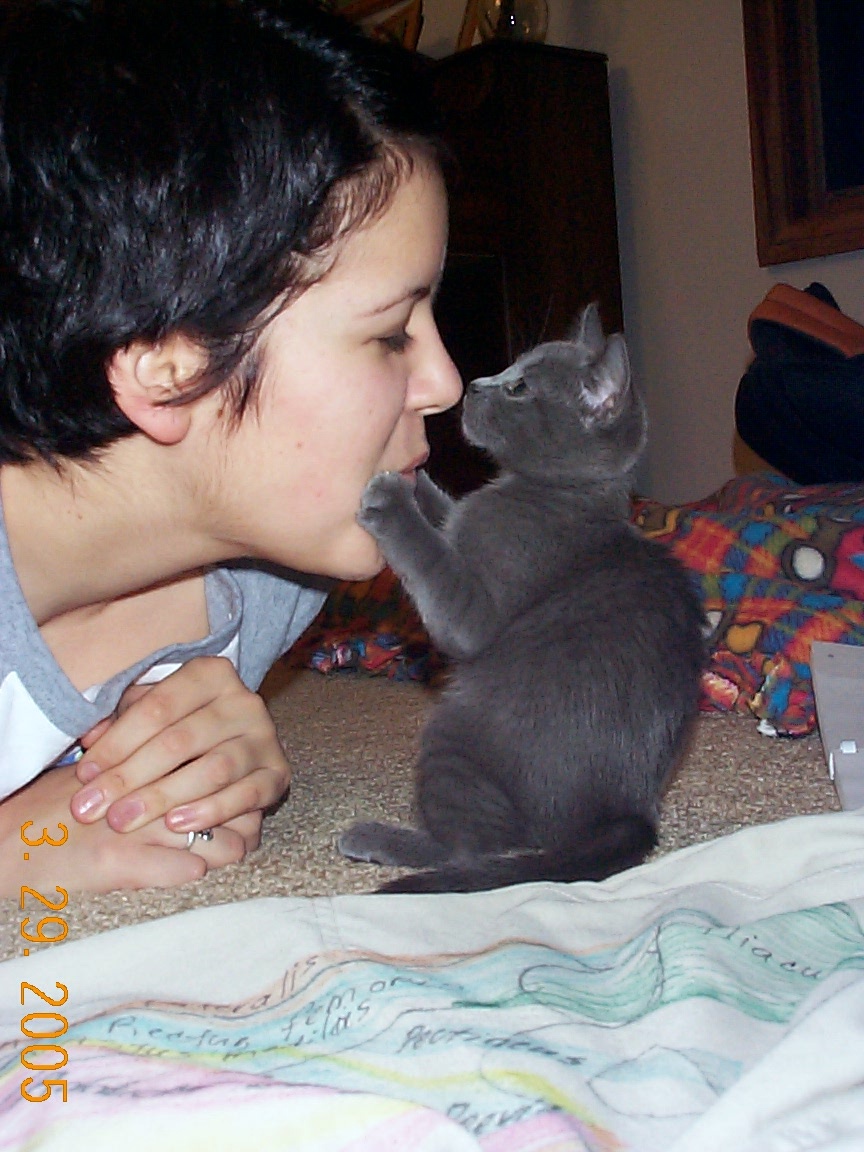 a lady kneeling down next to a grey kitten